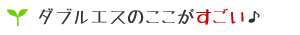 ダブルエスのここがすごい!