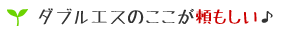 ダブルエスのここが頼もしい!
